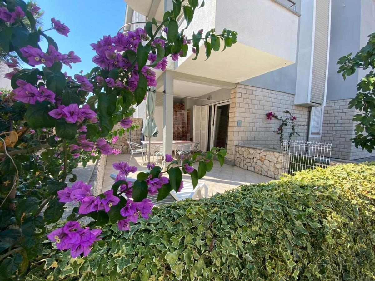 Apartment Dilba Новаля Екстериор снимка